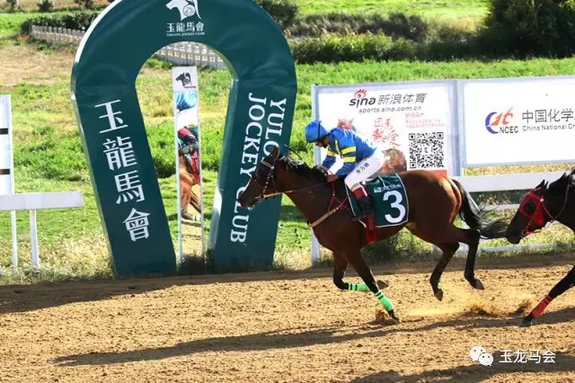 来自马主李勇名下的勇强旋风冲破终点