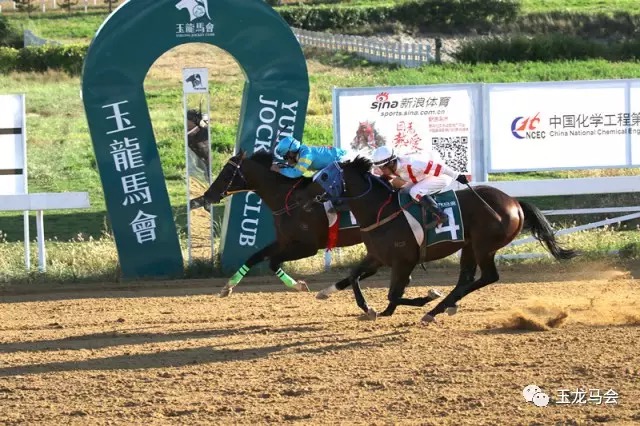 来自玉龙马房的玉龙雄勇冲破终点