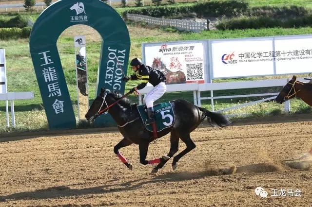 来自天富安马房的富安龙驹冲破终点
