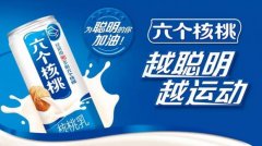 养元六个核桃严格甄选原材料，兼具营养健康双功效