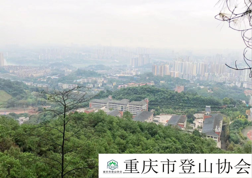 1609818850993718.png 6.png