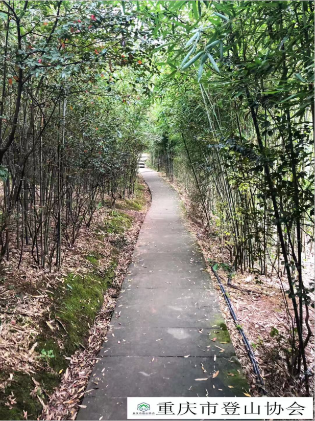 1609818945352672.png 13.png