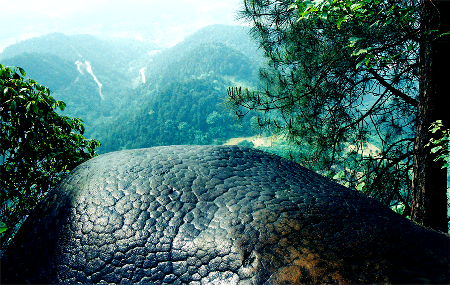 1609818805338366.png 2.png